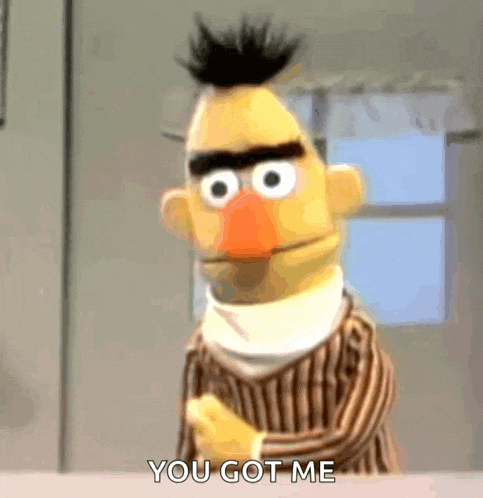 bert from sesame street is standing in front of a window and says you got me .