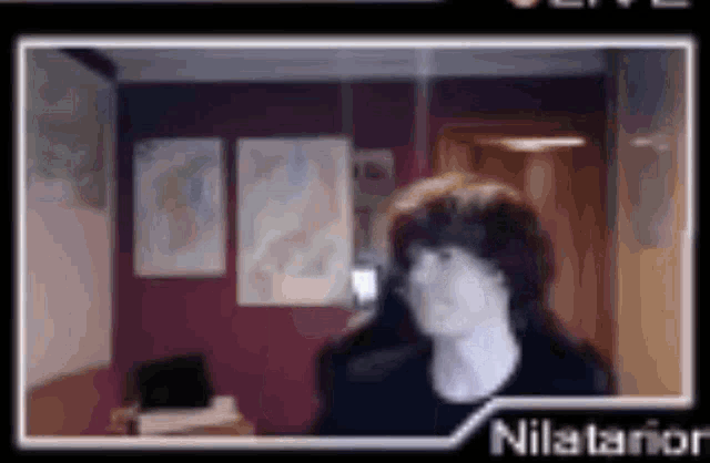 a blurred image of a person in a room with the name nilatanor on the bottom