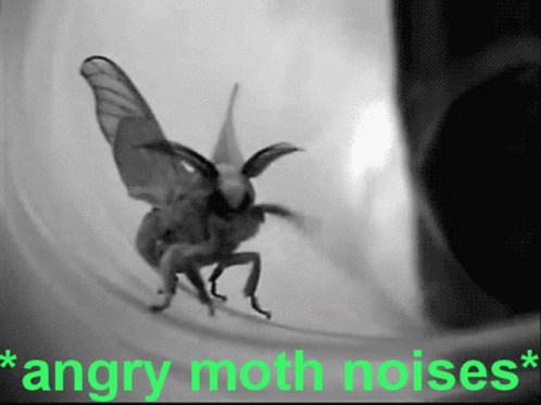 Angry Annoyed GIF - Angry Annoyed Moth GIFs