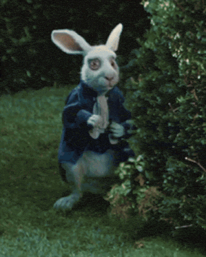 a blurry picture of a white rabbit wearing a blue dress