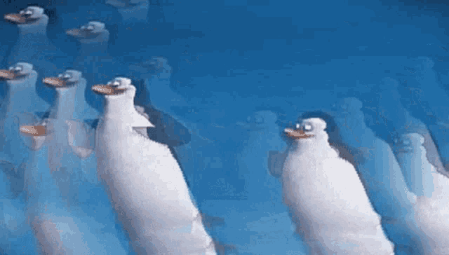 a group of penguins are standing in a line in the water