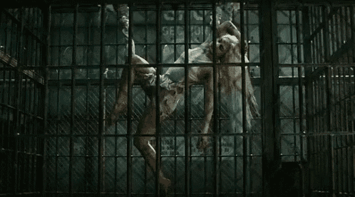 a woman is hanging upside down in a jail cell behind bars .