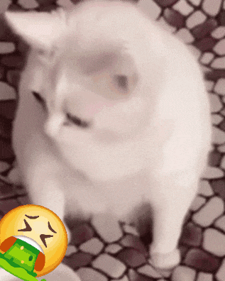 a picture of a white cat with a smiley face next to it