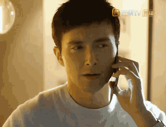 a man is talking on a cell phone with a watermark that says tv on it