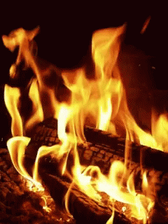 Fuego Fire GIF - Fuego Fire GIFs