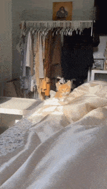 Kitty Cat Kitten Jump Slap GIF - Kitty Cat Kitten Jump Slap GIFs