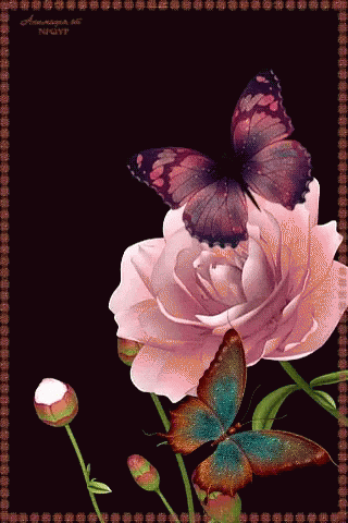 Butterfly Flower GIF - Butterfly Flower Pink GIFs