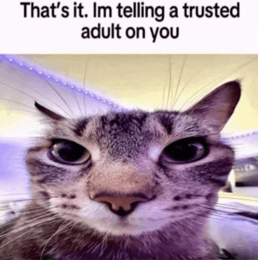 Cat Lol Meme
