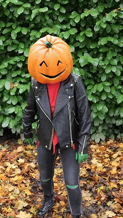 a person with a pumpkin head is wearing a black jacket