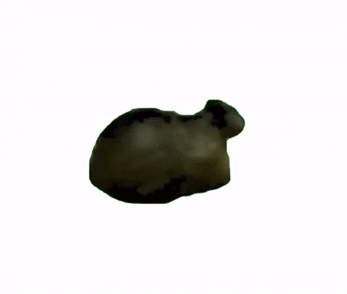 a small statue of a sheep is laying down on a white background