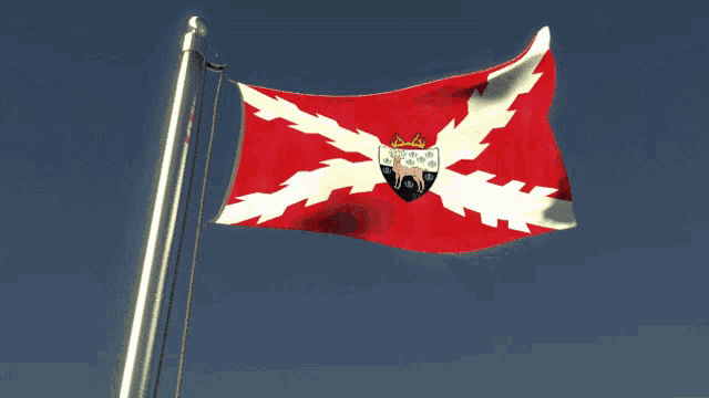 a red and white flag with a lion on it