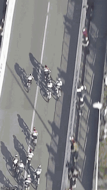 Elisa Balsamo GIF