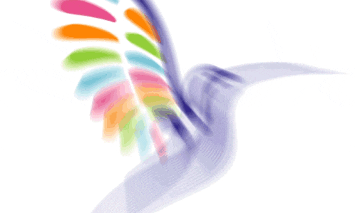 a drawing of a bird with a rainbow colored wing