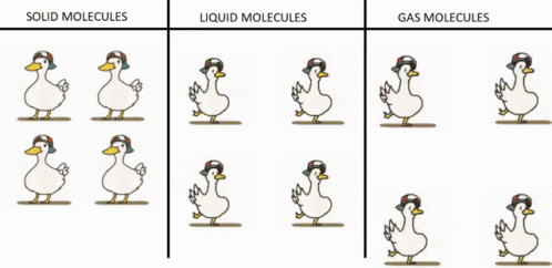 Scince Meme Duck Meme GIF - Scince Meme Duck Meme Dancing Duck GIFs