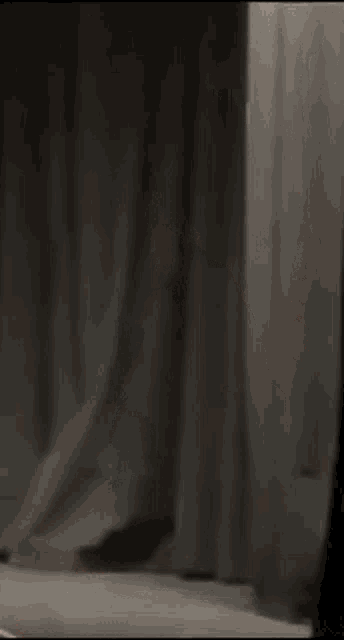 a man in a white shirt is standing in front of a curtain
