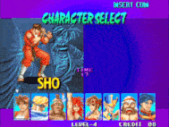 a character select screen for a video game shows a fighter named sho