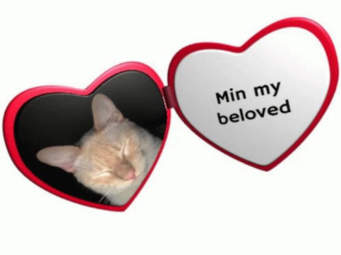 Minmybeloved GIF - Minmybeloved GIFs