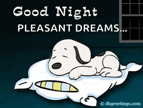 snoopy laying on a pillow with the words good night pleasant dreams