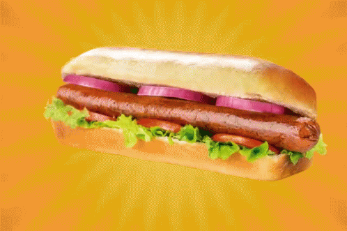Sandwich Newdeli GIF