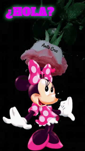 a cartoon of minnie mouse with a cake on her head and the name anita cruz on the bottom