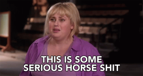 This Is Some Serious Horse Shit Fat Amy GIF - This Is Some Serious Horse Shit Fat Amy Rebel Wilson GIFs