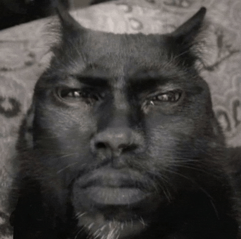 a black cat with horns on its head looks like a man