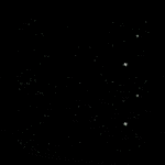 a green and black logo with a crown and leaves on it .