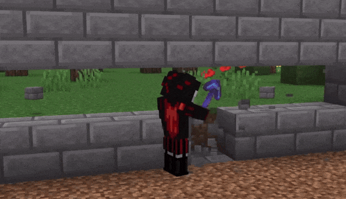 a person in a red and black outfit is in a minecraft game