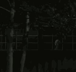 a dark room with trees in the foreground and a fence in the background