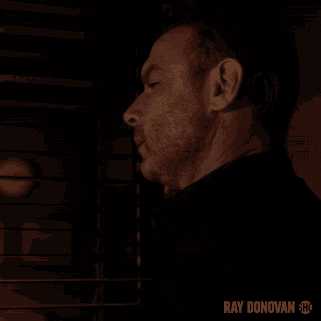 a man in a dark room with ray donovan show written on the bottom