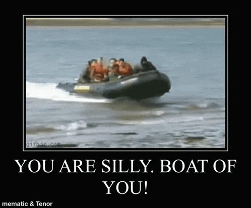 a poster that says you are silly boat of you on it