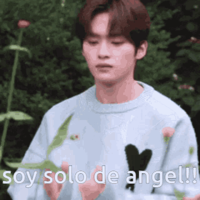 a young man in a blue sweater is holding a flower in his hands and says `` soy solo de angel '' .