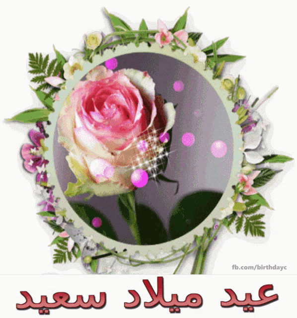 a pink rose is in a frame with arabic writing