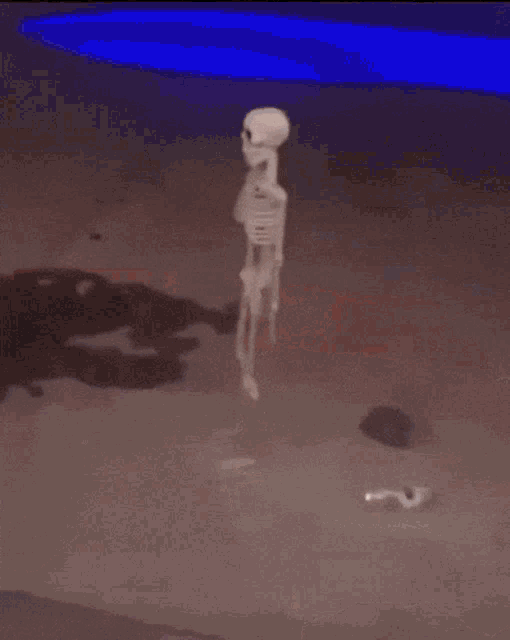 Skeleton Spin GIF - Skeleton Spin Dead GIFs