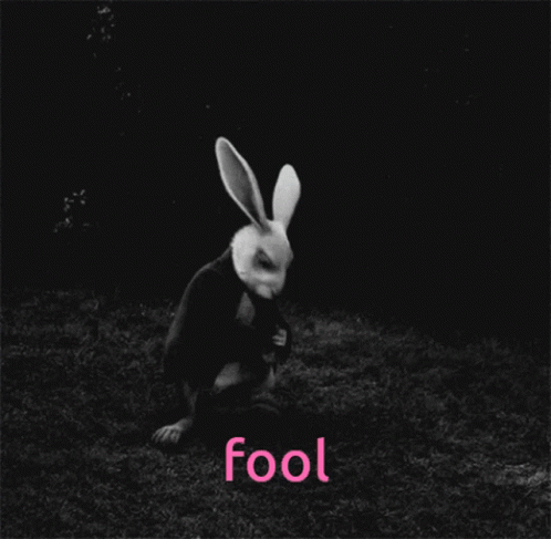 Fool Rabbit GIF - Fool Rabbit Watch GIFs