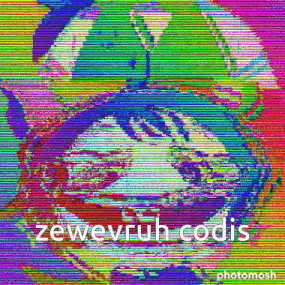 a colorful image of a cat with the words zewevruh codis on the bottom