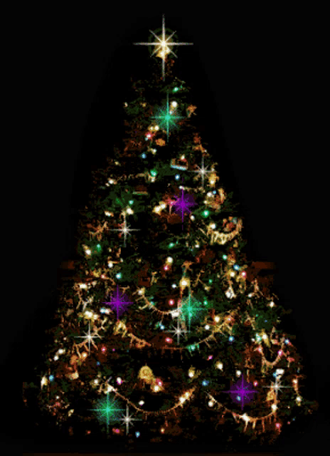 a christmas tree with a star on top is lit up at night