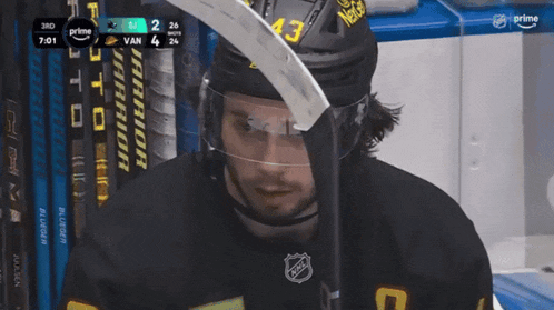 a hockey player with the number 43 on his helmet holds a hockey stick