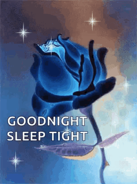 a blue rose with the words `` goodnight sleep tight '' written below it .
