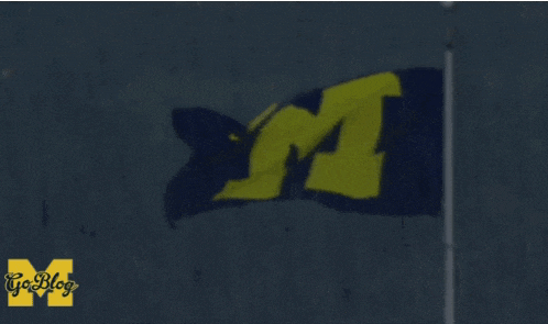 a blue and yellow flag with a letter m on it