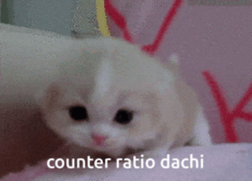 Dachi Counter Ratio GIF - Dachi Counter Ratio GIFs
