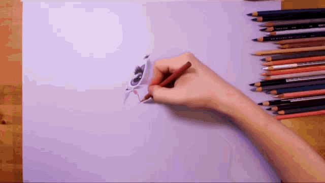 a person drawing a cat with a prismacolor colored pencil