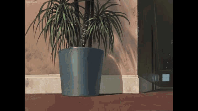 a plant in a blue pot is sitting on the floor