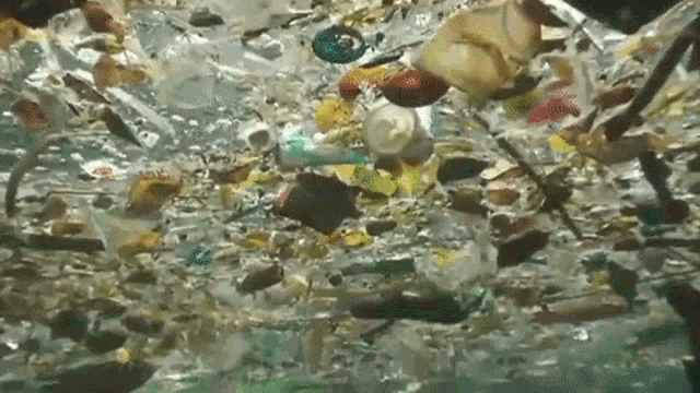 Water Trash GIF - Water Trash Garbage GIFs