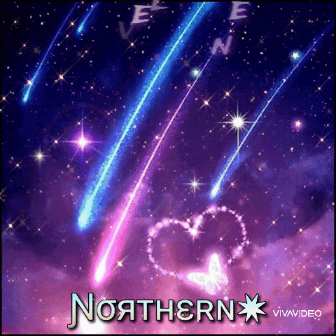 a northern vivavideo poster with a heart and a butterfly