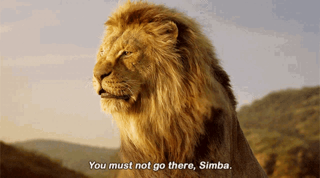 The Lion King Mufasa GIF - The Lion King Mufasa You Must Not Go There Simba GIFs