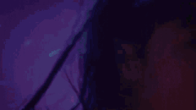 a close up of a person 's hair in a purple background