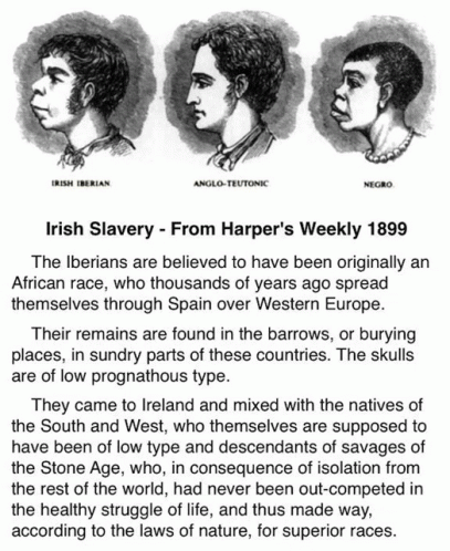 Irish Slaves GIF