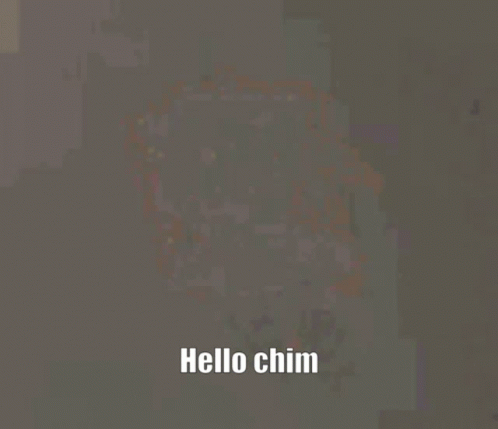 Hi Chim GIF - Hi Chim GIFs