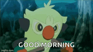 a cartoon owl is saying `` good morning '' .